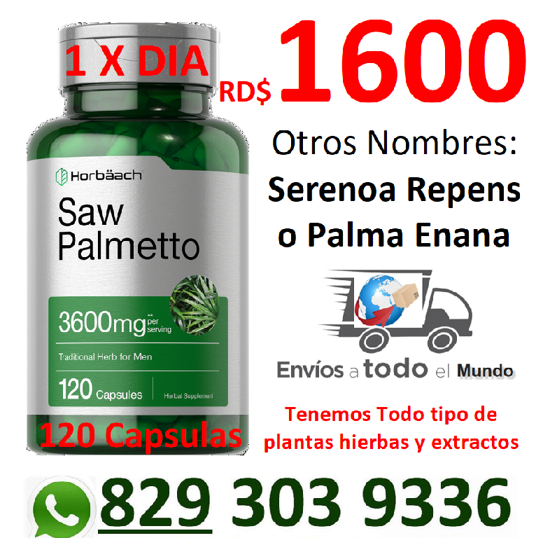 saw palmetto plantas hierbas medicina natural venta de productos para  Foto 7226469-1.jpg