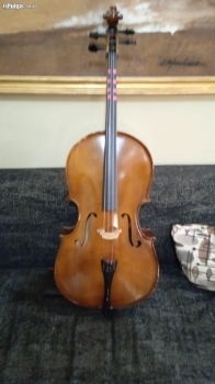 Violonchello  cello