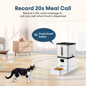 Alimentador automático de gatos