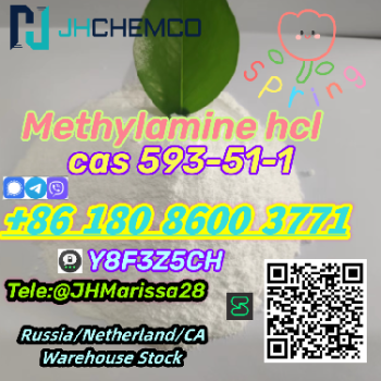 Eu warehouse cas 593-51-1 methylamine hydrochloride   threema y8f3z5ch