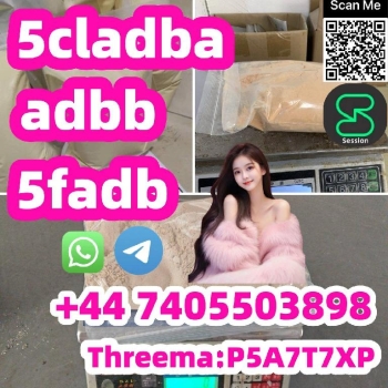 Best quality 5cladba 5cladb adbb 4fadb 5fadb 137350-66-4 in stock for