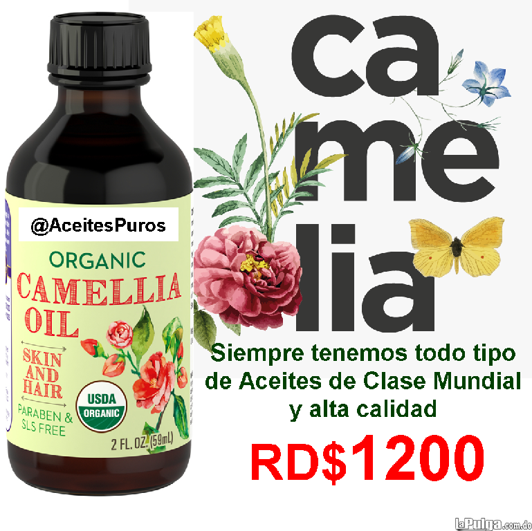 Aceite de camelia puro genuino organico orginal hidratante humectante  Foto 7105471-1.jpg