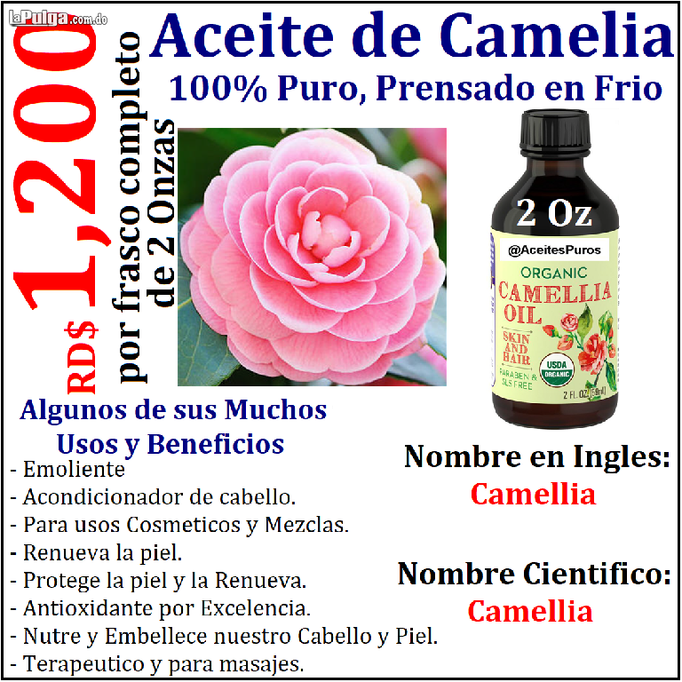 Aceite de camelia puro genuino organico orginal hidratante humectante  Foto 7105471-2.jpg