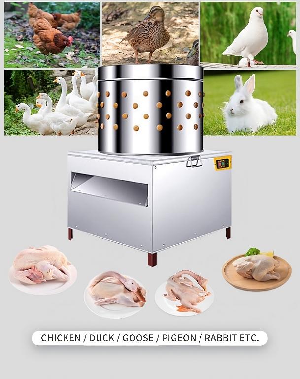 Maquina industrial peladora de ave pollo pato ganso y conejo pelador d Foto 7215203-8.jpg