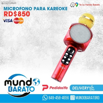 Microfono inhalambrico altavoz luces led karaoke