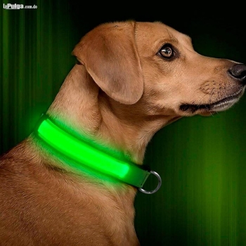 Collar iluminado para perros con luces led canino ajustable de segurid