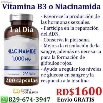 Niacidamida vitamina b3 suplementos proteínas aceites