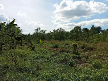 Venta de terreno guazara de barahona