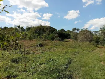 Venta de terreno guazara de barahona