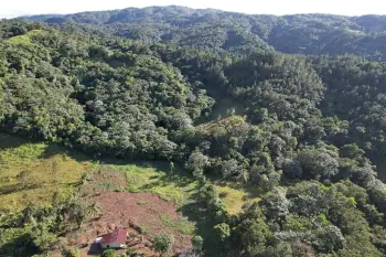 Familia vende terreno completo 140 tareas para proyecto ecoturístico e