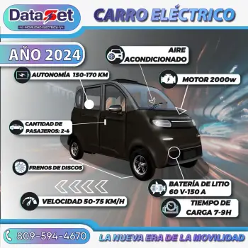 Carro electrico 2024