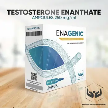 Testosterona propionato cipionato enantato GENIQS PHARMA