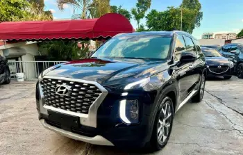 Hyundai palisade 2019