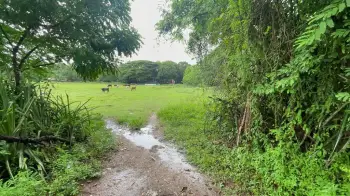 Terreno con lago edificación y 38 mil m. haina