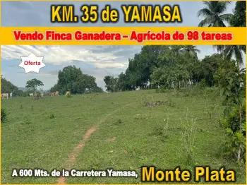 Vendo finca ganadera – agricola de 98 tareas en el 35 de yamasa de opo