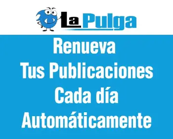 Manten tus publicaciones recientes con Auto renovaciones