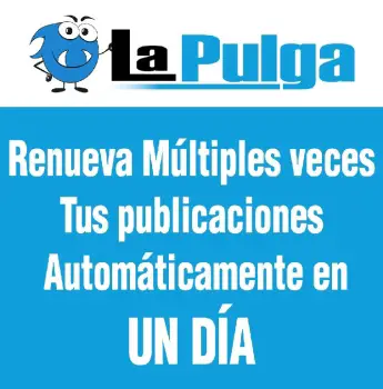 Renueva tus publicaciones varias veces al día 