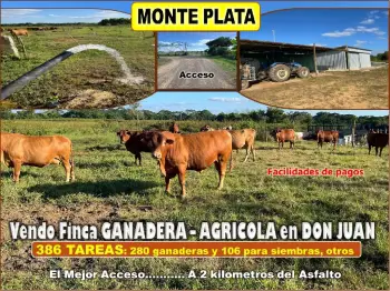 Vendo finca ganadera – agricola de 386 tareas con la major ubicacion d