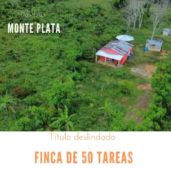 Finca de 50 tareas ganadera y agrícola en don juan de  mente plata