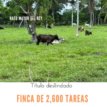 Finca de 2600 tareas ganadera en hato mayor del rey