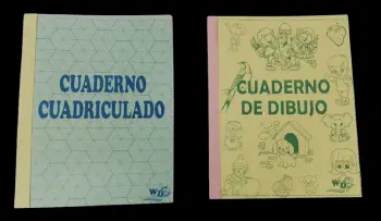 Cuadernos cuadriculados y dibujos