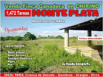 Vendo finca ganadera de 1472 tareas en chirino de monte plata con rio