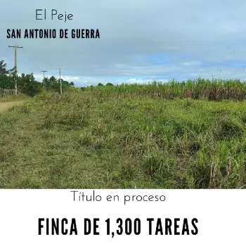 Finca de 1300 tareas sembradas de caña en san antonio de guerra