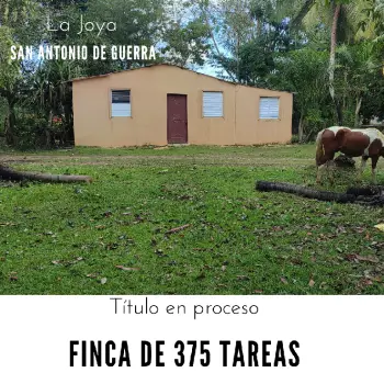 Finca de 375 tareas con vocación agrícola y ganadera en san antonio de