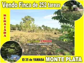 Vendo finca de 252 tareas en el 35 de yamasa precio rebajado y a 2 pag