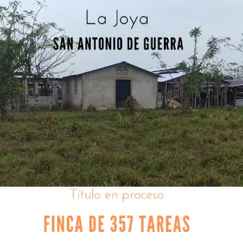 Finca de 357 tareas vocación ganadera y agrícola ideal para nave indus