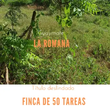 Finca de 50 tareas con vocación agrícola y eco-turísticas en la romana