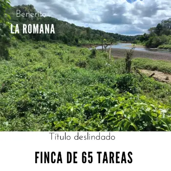 Finca de 65 tareas eco-turísticas y agrícolas en la romana