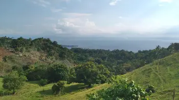 Se venden terrenos en samana