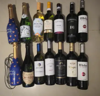Coleccion vinos y bebidas 14 botellas solo 2995 vino bebida botella