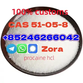 High quality cas 51-05-8 hydrochloride hcl diphenhydramine procaine