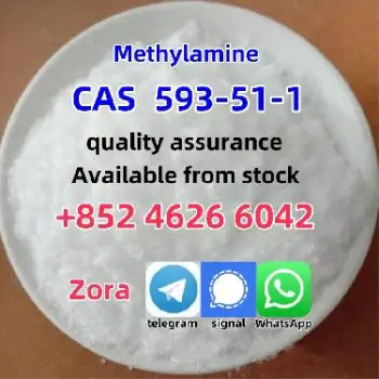 99 purity methylamine hydrochloride powder methylamine hcl cas 593-51-