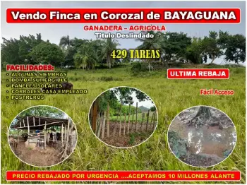 Vendo finca 429 tareas en bayaguana ultima rebaja ganadera – agricola