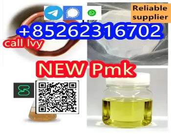 Reliable manufacturer supply raw material cas 1451-82-7 bk4 /2b4mchina