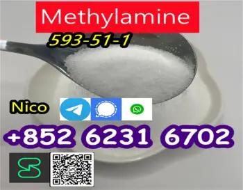 High quailty  methylamine hydrochloride cas 593-51-1