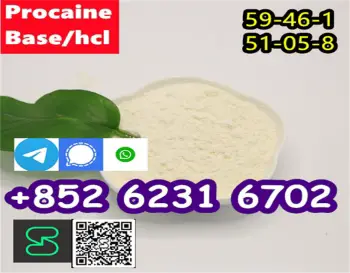 Procaine cas 59-46-1 procaine hcl cas 51-05-8 china factory direct sal