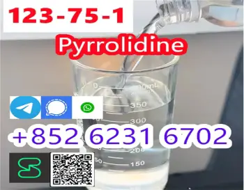 Legit supplier pyrrolidine n methyl pyrrolidine cas 123-75-1 for medic