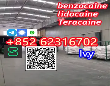 Cas 137-58-6 lidocaine crystal safe delivery en la vega