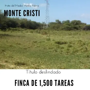 Finca de 1500 tareas ideal para proyectos de paneles solares con torre