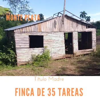 Finca de 35 tareas ideal para la agricultura y casa campestre