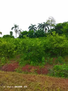 Finca en venta monte plata103