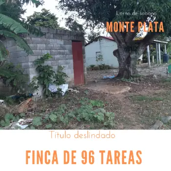 Finca de 96 tareas con invernadero en monte plata