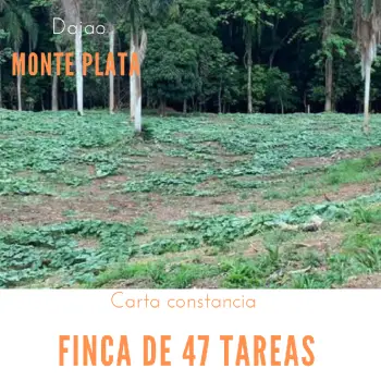 Finca de 47 tareas sembradas de auyama en monte plata