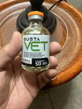 Sustanon 200mg 50cc