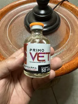 Primobolan 50cc