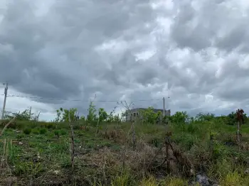 Los solares mas aclamados del momento.